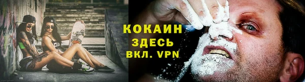 бошки Алзамай