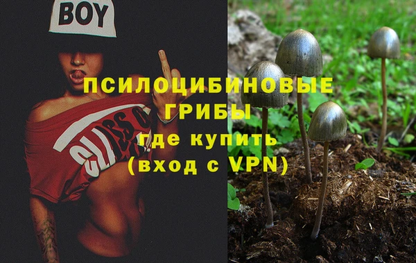 кокс Абаза