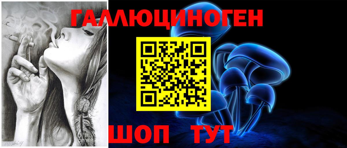 как найти наркотики  Вход с VPN  Орск  Галлюциногенные грибы Psilocybine cubensis 